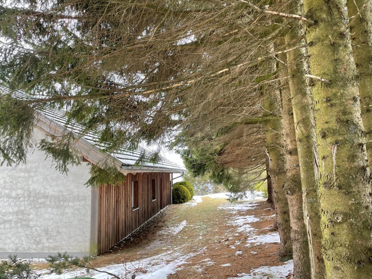 Teichalm Lodge Landhaus Fladnitz an der Teichalm Dış mekan fotoğraf